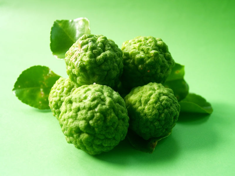 Essential Oils - Bergamot